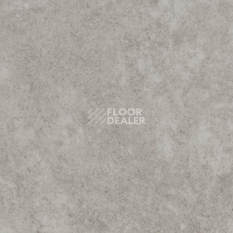 Линолеум Forbo Eternal Material 10032 fossil stucco фото 1 | FLOORDEALER